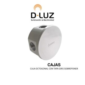 CAJA OCTOGONAL CON TAPA GRIS SOBREPONER