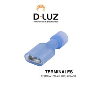 TERMINAL PALA H (B21) AISLADO