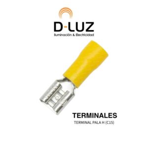 TERMINAL PALA H (C15)